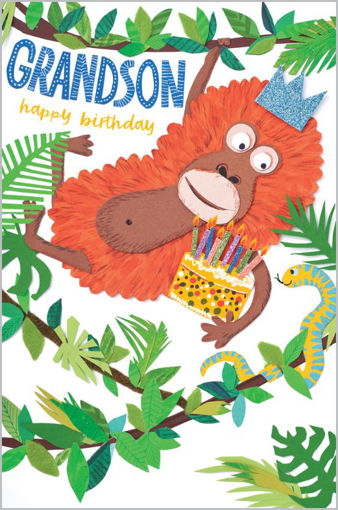 Picture of GRANDSON BIRTHDAY CARD